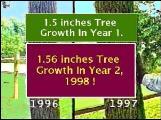 sb-treesgrow3